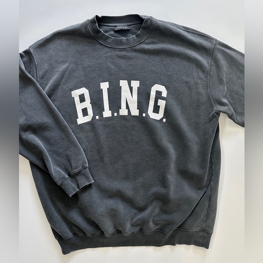 Anine Bing Tyler Washed Logo Sweatshirt Size Small